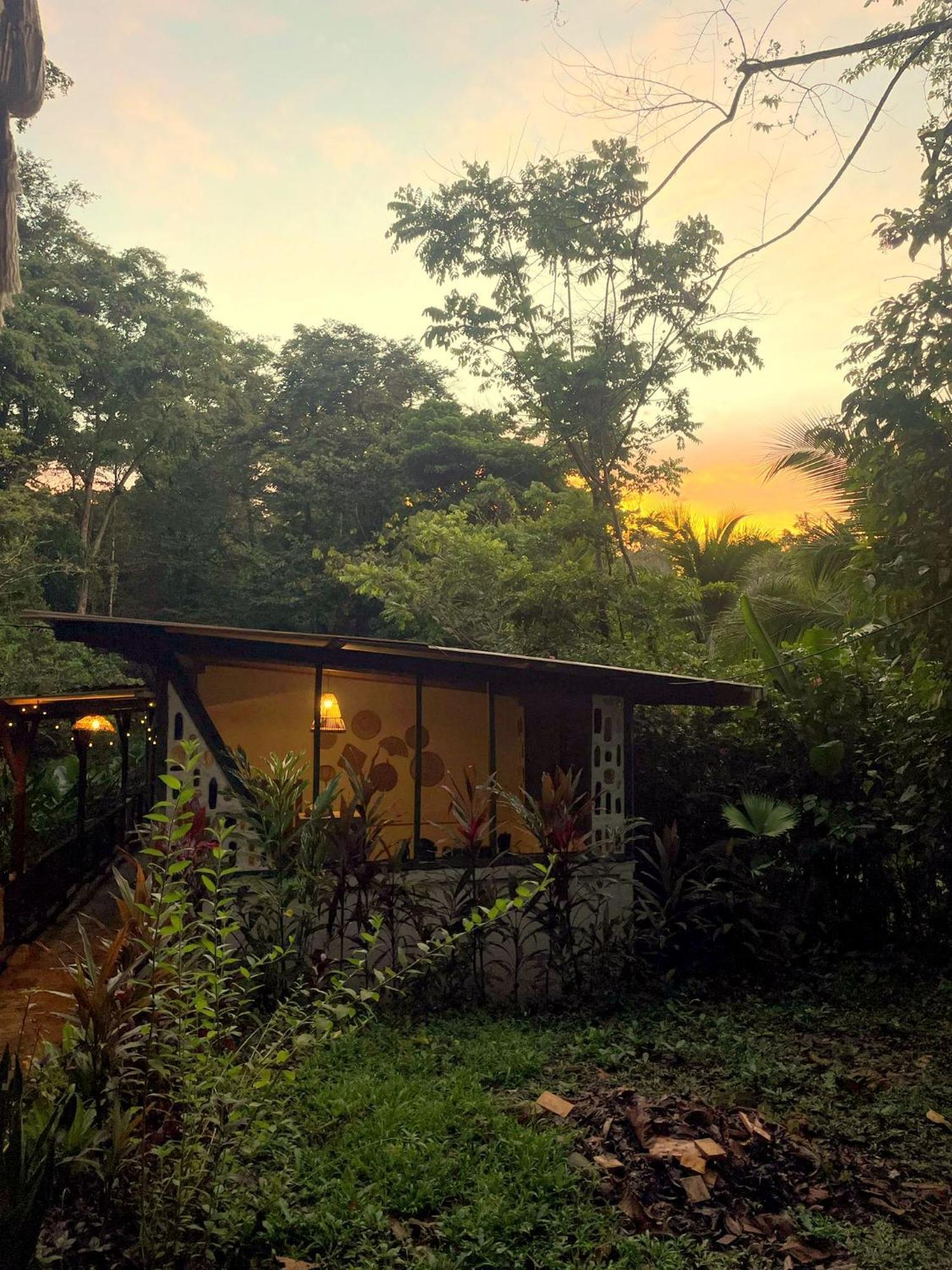 Smile Jungle Hostel Puerto Viejo de Talamanca Luaran gambar
